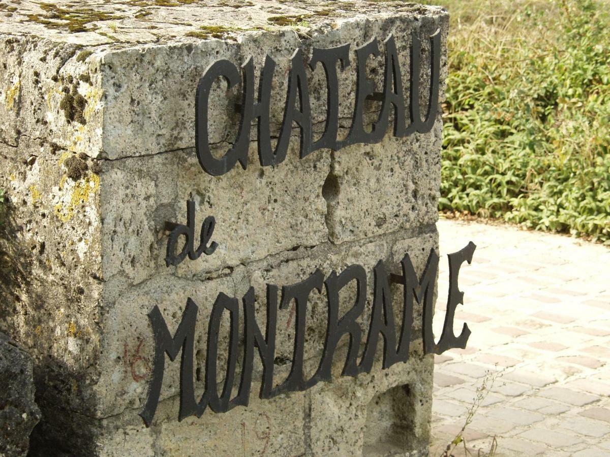 Chateau De Montrame Soisy-Bouy Exterior foto